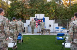 Illustration de l'article : Une ancienne maître-chien et son Berger Allemand sont réunis pour une retraite bien méritée