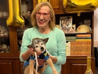 Illustration de l'article : Cette petite chienne abandonnée a fêté ses 112 années humaines