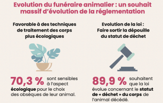 Illustration de l'article : Deuil d'un animal de compagnie : 77 % des Français connaissent les solutions existantes pour le devenir du corps de leur fidèle compagnon