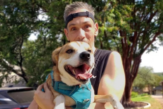 Illustration de l'article : Cette chienne de refuge malade et rejet&eacute;e trouve enfin un nouveau foyer