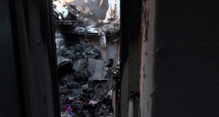 Illustration de l'article : Après l’incendie de la maison de ses amis, une femme fait son possible pour retrouver leur chienne disparue dans le sinistre