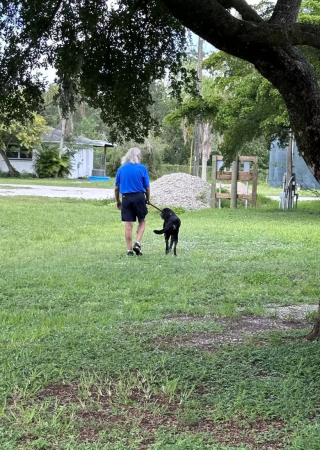 Illustration de l'article : Une chienne timide attend 10 ans dans un foyer avant de faire une rencontre spéciale