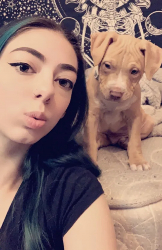 Illustration de l'article : Une adolescente déterminée à adopter un chien tente de convaincre sa mère en faisant preuve de créativité et d'humour