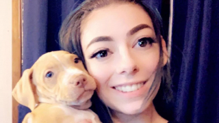 Illustration de l'article : Une adolescente déterminée à adopter un chien tente de convaincre sa mère en faisant preuve de créativité et d'humour