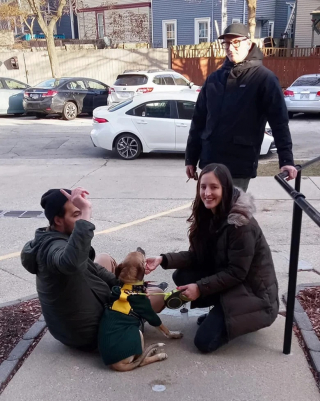 Illustration de l'article : Une propriétaire utilise les réseaux sociaux pour retrouver sa chienne disparue