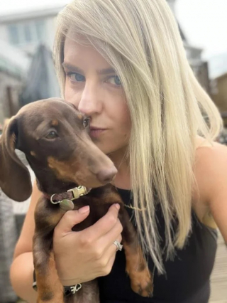 Illustration de l'article : Des vétérinaires tentent le tout pour le tout afin de sauver une petite chienne atteinte d’un grave problème au coeur