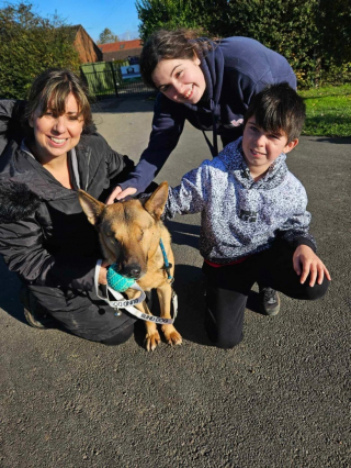 Illustration de l'article : Un chien de refuge aveugle finit par trouver une famille pour la vie après un passage dans un grand journal