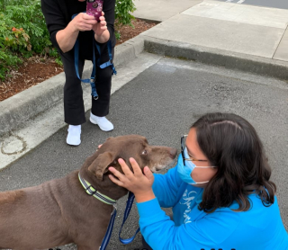 Illustration de l'article : Ce chien &acirc;g&eacute; et malade a pass&eacute; un moment merveilleux avec sa derni&egrave;re ma&icirc;tresse (vid&eacute;o)