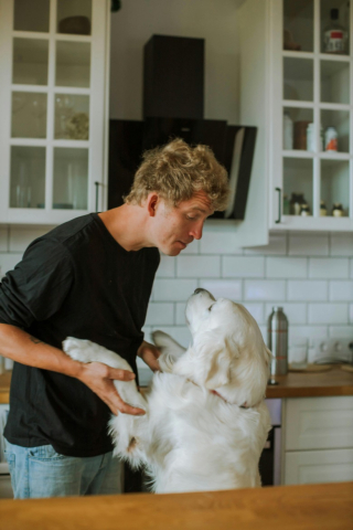 Illustration de l'article : Durant un rendez-vous galant, l&rsquo;invit&eacute; ne supporte pas le chien de son h&ocirc;te et demande &agrave; ce qu&rsquo;il sorte de la maison