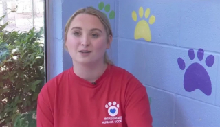 Illustration de l'article : Une b&eacute;n&eacute;vole amie d&rsquo;un chien de refuge d&eacute;couvre pour son anniversaire que l&rsquo;animal a enfin trouv&eacute; une famille apr&egrave;s 1200 jours de solitude (vid&eacute;o)