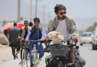 Illustration de l'article : Ce globe-trotter à vélo parcourt le monde avec un chien comme copilote