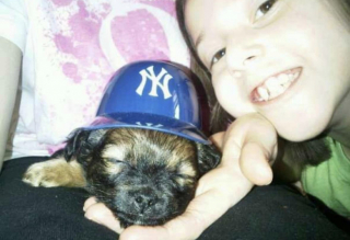 Illustration de l'article : Cette jeune femme a décidé de tout quitter, afin de se dévouer totalement aux animaux dans le besoin