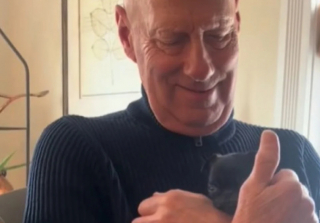 Illustration de l'article : Le réconfort bienfaiteur d’un ancien basketteur pour une petite chienne Carlin d’à peine 900 grammes (vidéo)