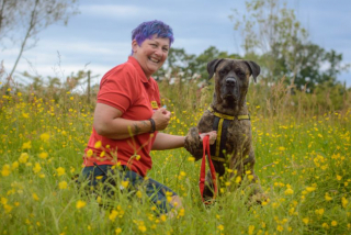 Illustration de l'article : Un refuge récompense le dévouement de l’une de ses membres, au cours de la Semaine des Bénévoles