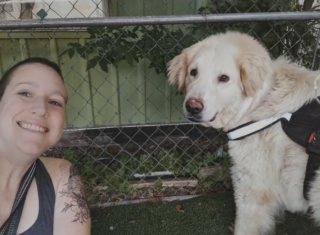 Illustration de l'article : Ce chien errant à demi-sauvage est devenu un adorable toutou après un long parcours de soins