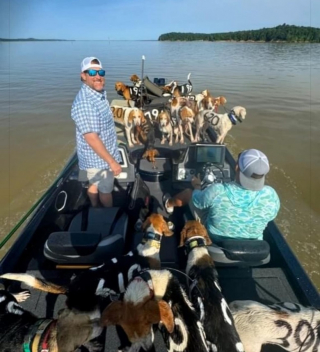 Illustration de l'article : Un duo de pêcheurs découvre 38 chiens perdus au beau milieu d’un lac et les emmènent sur leur bateau