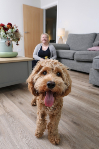 Illustration de l'article : Pour redonner sa mobilité à un chiot paralysé, des vétérinaires utilisent des vis chirurgicales imprimées en 3D
