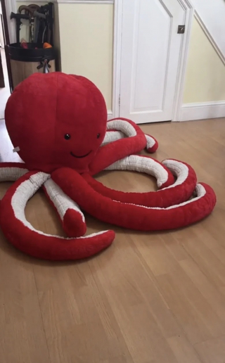 Illustration de l'article : Un chien guide fasciné par les peluches reçoit un cadeau hors-normes pour son anniversaire (vidéo)