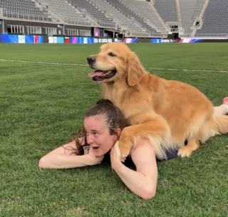 Illustration de l'article : Des chiens de thérapie offrent une surprise émouvante à l’équipe féminine olympique de football (vidéo)