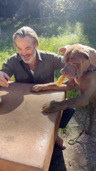 Illustration de l'article : L’acteur Chris Pine aide 2 chiens de refuge à trouver leur foyer pour toujours