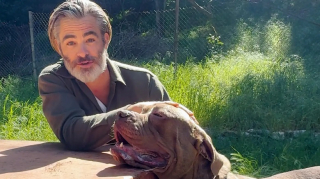 Illustration de l'article : L’acteur Chris Pine aide 2 chiens de refuge à trouver leur foyer pour toujours