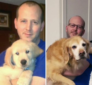 Illustration de l'article : 12 belles photos montrant &agrave; quel point les chiens font partie de la famille