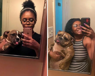 Illustration de l'article : 12 belles photos montrant &agrave; quel point les chiens font partie de la famille