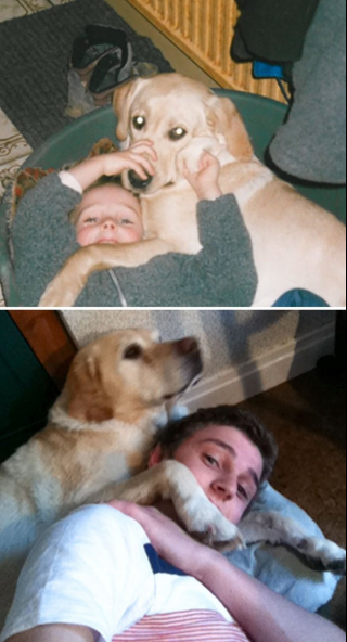 Illustration de l'article : 12 belles photos montrant &agrave; quel point les chiens font partie de la famille