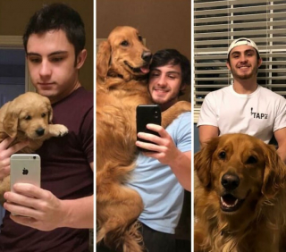 Illustration de l'article : 12 belles photos montrant &agrave; quel point les chiens font partie de la famille