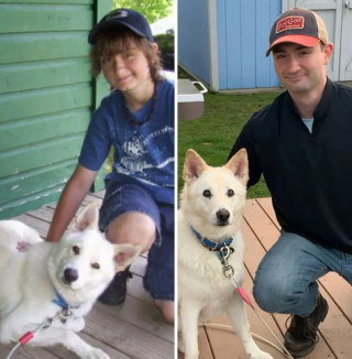 Illustration de l'article : 12 belles photos montrant &agrave; quel point les chiens font partie de la famille