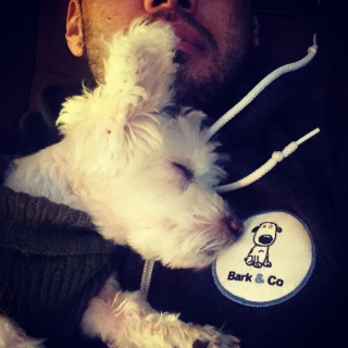 Illustration de l'article : 12 photos de chiens adorant dormir sur leurs humains