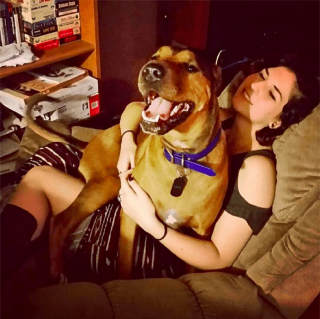 Illustration de l'article : 12 photos de chiens adorant dormir sur leurs humains