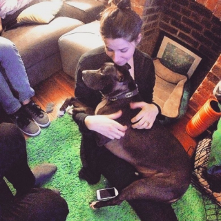 Illustration de l'article : 12 photos de chiens adorant dormir sur leurs humains