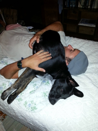 Illustration de l'article : 12 photos de chiens adorant dormir sur leurs humains