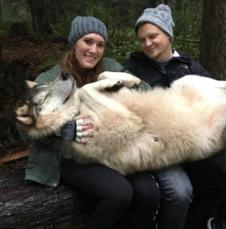 Illustration de l'article : 15 photos de chiens qui illuminent la vie de leurs propriétaires