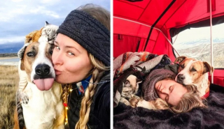 Illustration de l'article : 15 photos de chiens qui illuminent la vie de leurs propriétaires