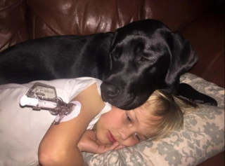 Illustration de l'article : 15 photos de chiens qui illuminent la vie de leurs propriétaires