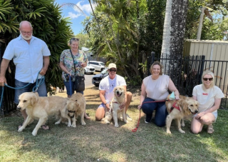 Illustration de l'article : 4 chiots volés puis retrouvés se réunissent pour célébrer leur 1er anniversaire en famille