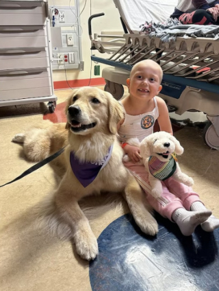 Illustration de l'article : Emma et Ellie, 2 chiennes de thérapie, rendent visite à une fille atteinte de leucémie pour lui redonner le sourire (vidéo)