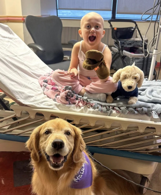 Illustration de l'article : Emma et Ellie, 2 chiennes de thérapie, rendent visite à une fille atteinte de leucémie pour lui redonner le sourire (vidéo)