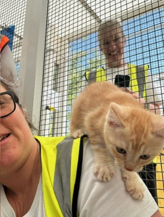 Illustration de l'article : Cette femme répond aux personnes qui imaginent qu’adopter un animal abandonné est dangereux