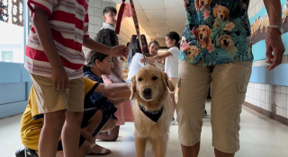 Illustration de l'article : Les adieux émouvants de ces écoliers, disant au revoir à Mazie, la chienne de thérapie qui les a accompagnés pendant leur scolarité