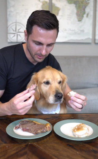 Illustration de l'article : L’incroyable maîtrise de soi d’Ellie, la Golden Retriever, devant résister à la gourmandise devant 2 pièces de viande alléchantes (vidéo)
