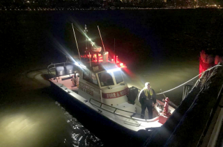 Illustration de l'article : Un jeune chien d'assistance disparu retrouvé après une aventure épique en ville et dans l'eau