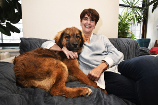 Illustration de l'article : Un jeune chien d'assistance disparu retrouvé après une aventure épique en ville et dans l'eau