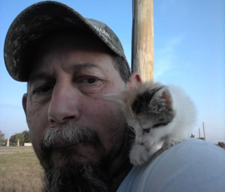 Illustration de l'article : Le sauvetage d’un chaton transi de froid, grâce à un bon samaritain à 4 pattes (vidéo)