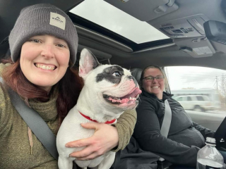 Illustration de l'article : Faites la rencontre de Ralphie, un chien au caractère bien trempé, surnommé le « démon à la bouille d’ange »