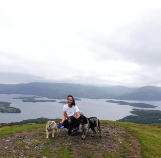 Illustration de l'article : L’admirable carrière de donneur de sang d’Arnie, le Springer Anglais