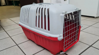 Illustration de l'article : L’histoire émouvant de Sienna, la petite chienne Teckel abandonnée dans une caisse de transport pour chats (vidéo)