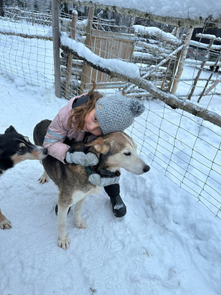 Illustration de l'article : Avec Expérience Montagne, les amoureux des animaux et de la nature peuvent vivre une aventure unique en Laponie